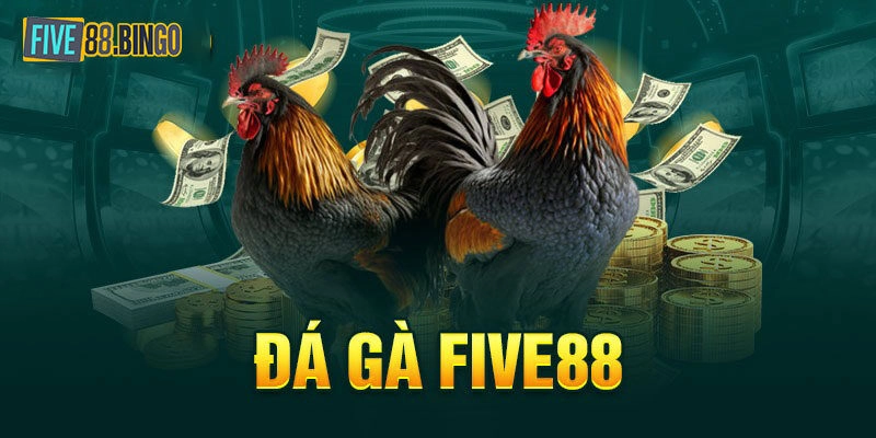 Hướng dẫn cách tham gia sảnh chơi đá gà Five88