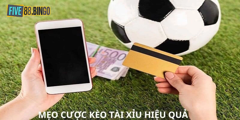 Hướng dẫn người mới cách chơi tài xỉu bóng đá