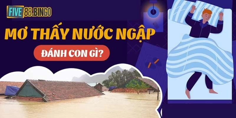 Mơ thấy nước lũ nên đánh con gì theo tình huống cụ thể