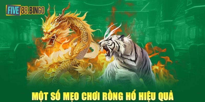 Thông tin chi tiết về mẹo chơi Rồng Hổ cho hội viên Five88